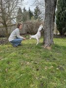 33_Trick Handstand